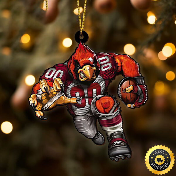 NFL Arizona Cardinals Sport Ornament