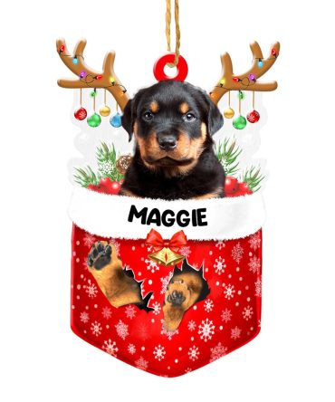 Christmas Dog Ornament, Personalized Rottweiler In Snow Pocket Christmas Acrylic Ornament, New Dog Christmas Ornament